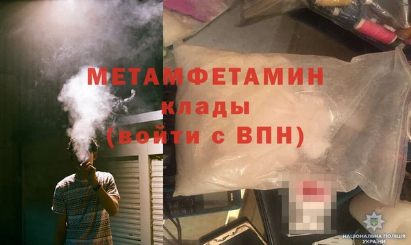прущие грибы Бронницы