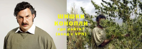 прущие грибы Бронницы