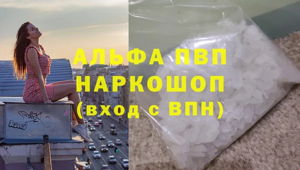 прущие грибы Бронницы