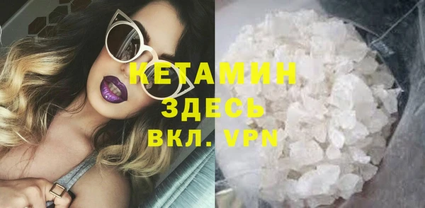 прущие грибы Бронницы